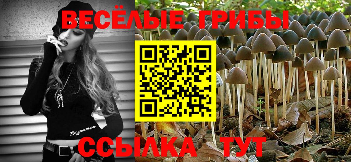 Псилоцибиновые грибы ЛСД Салават