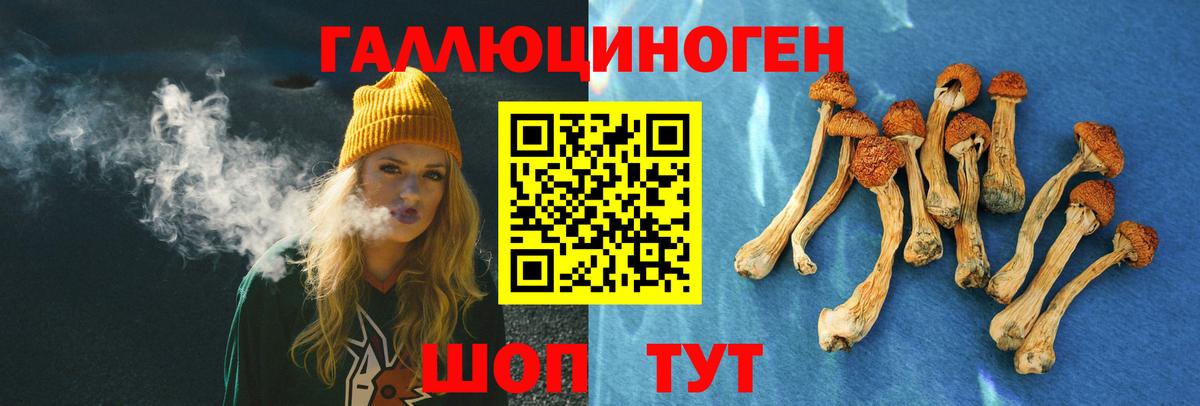 Салават  Псилоцибиновые грибы GOLDEN TEACHER  Вход с VPN 